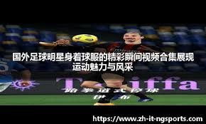 西海岸投资人：未来会开拓海外市场，英博式股改适合我们